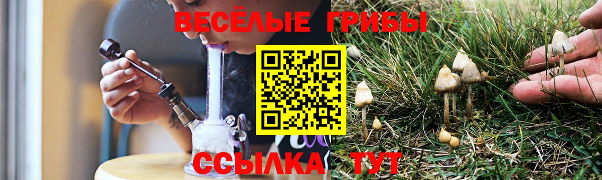 закладка  Галлюциногенные грибы мухоморы  Вход с VPN  Глазов 